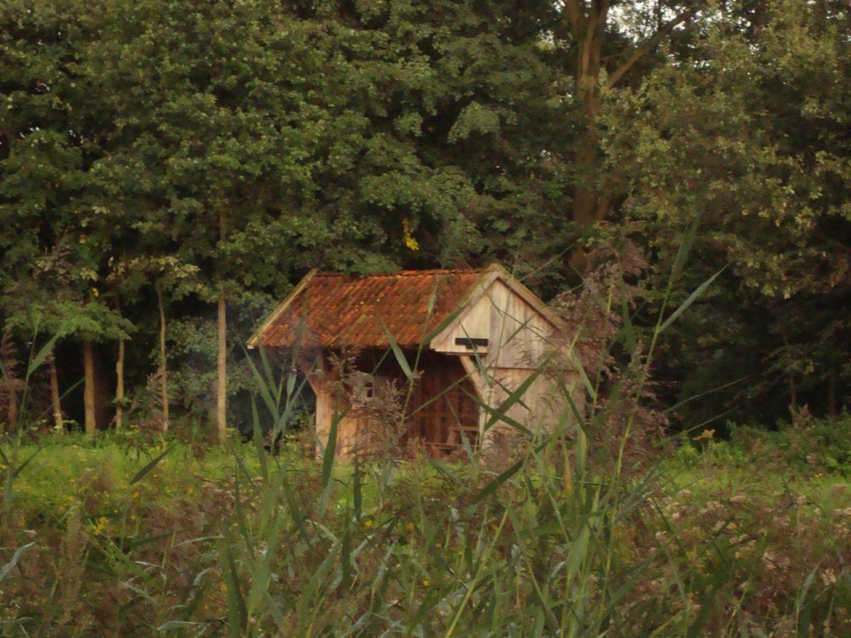 Bed And Breakfast De Boerderij Albergen Ngoại thất bức ảnh